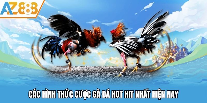 Các hình thức cược gà đá hot hit nhất hiện nay