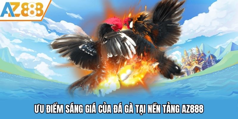 Ưu điểm sáng giá của đá gà tại nền tảng AZ888